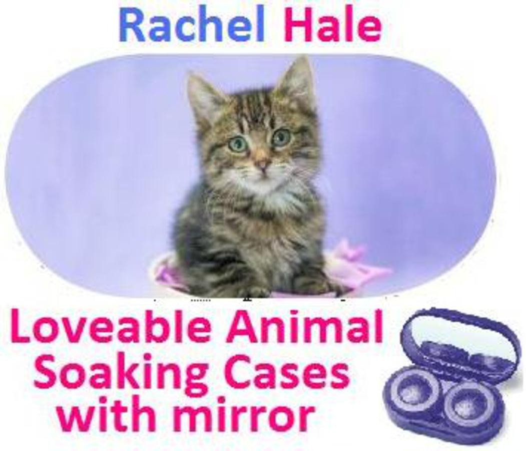Cute Kitten Rachel Hale Contact Lens Soaking Case